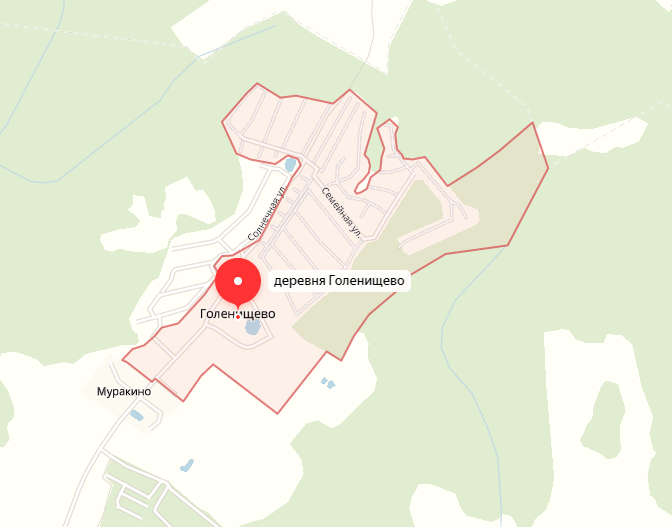 деревня Голенищево